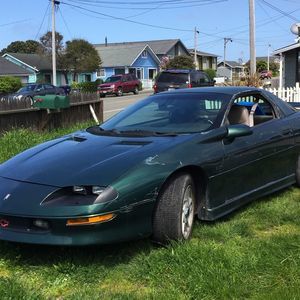 Meet your Posher, Alfredo